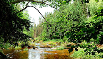 Kerékpártúra a Waldwiertelben 2